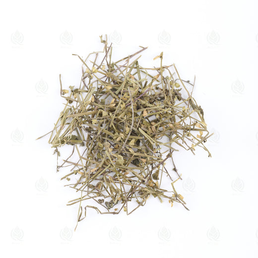 Scutellaire barbue (Ban Zhi Lian), vue de dessus