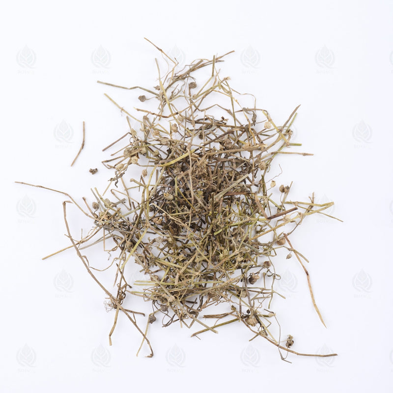 Hedyotis herb - 白花蛇舌草 (Bai Hua She She Cao), Qing Re 清热