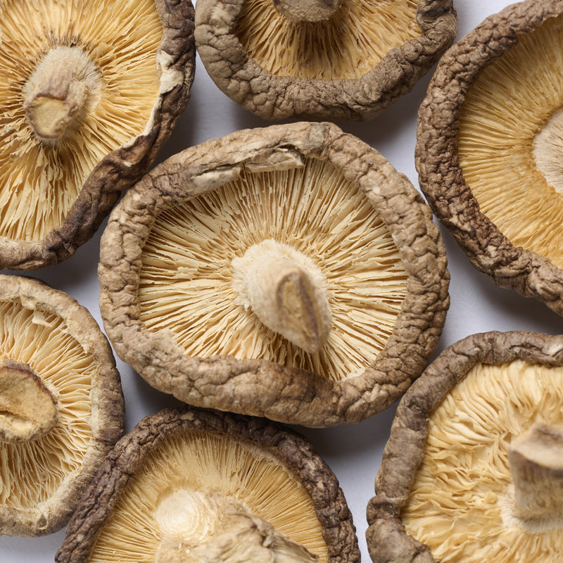 Champignon Shiitake (Xiang Gu) – vue de dessus
