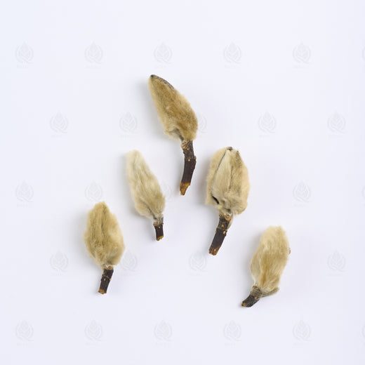 Boutons de Magnolia (Xin Yi Hua), vue de dessus