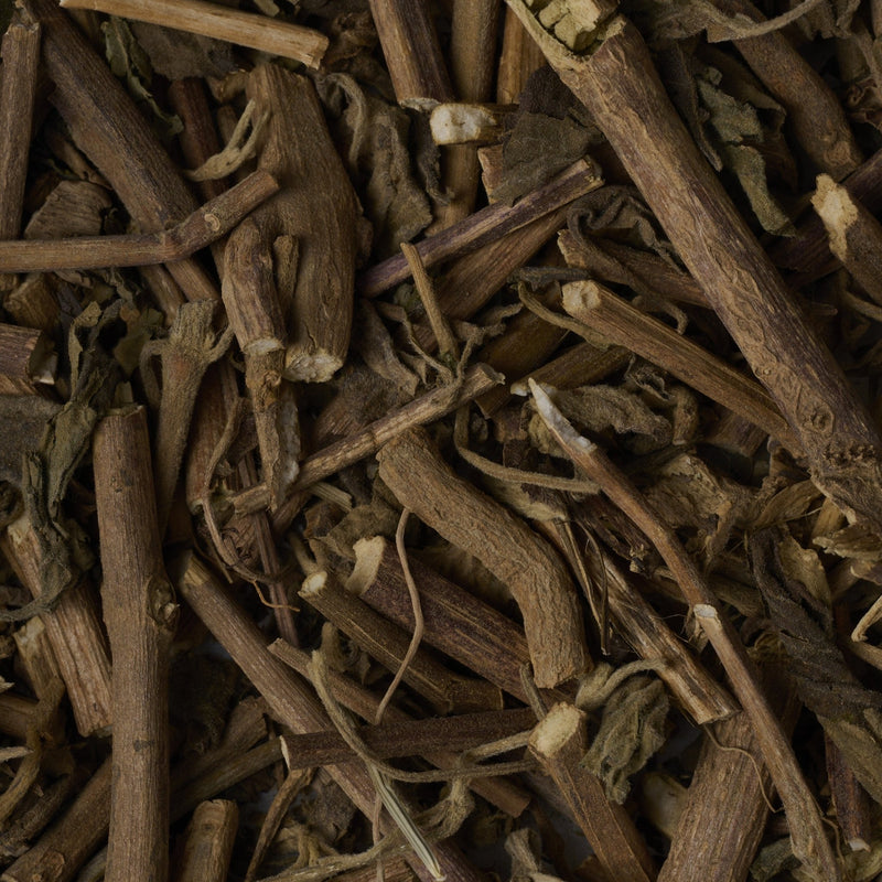 Agastache - 藿香 (Huo Xiang)