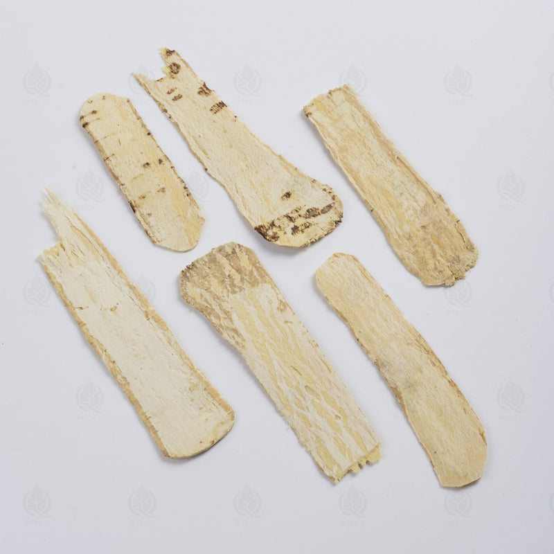 Astragale (grosses tranches) - 黄芪 (Huang Qi)