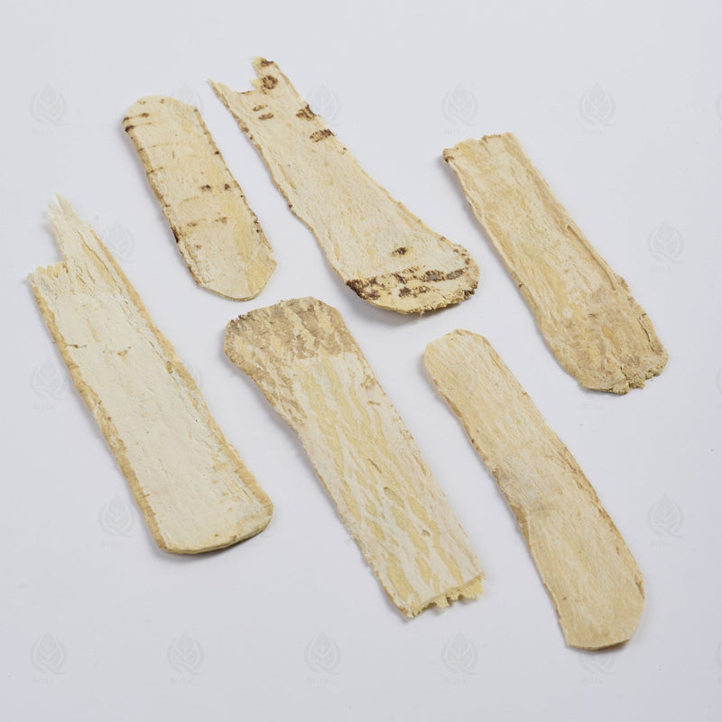 Astragale (grosses tranches) - 黄芪 (Huang Qi)