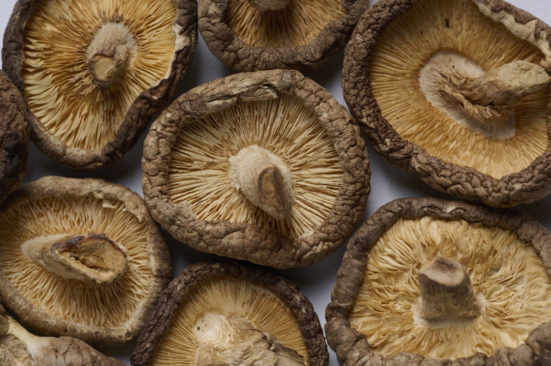 Champignon Shiitake - 香菇 (Xiang Gu)