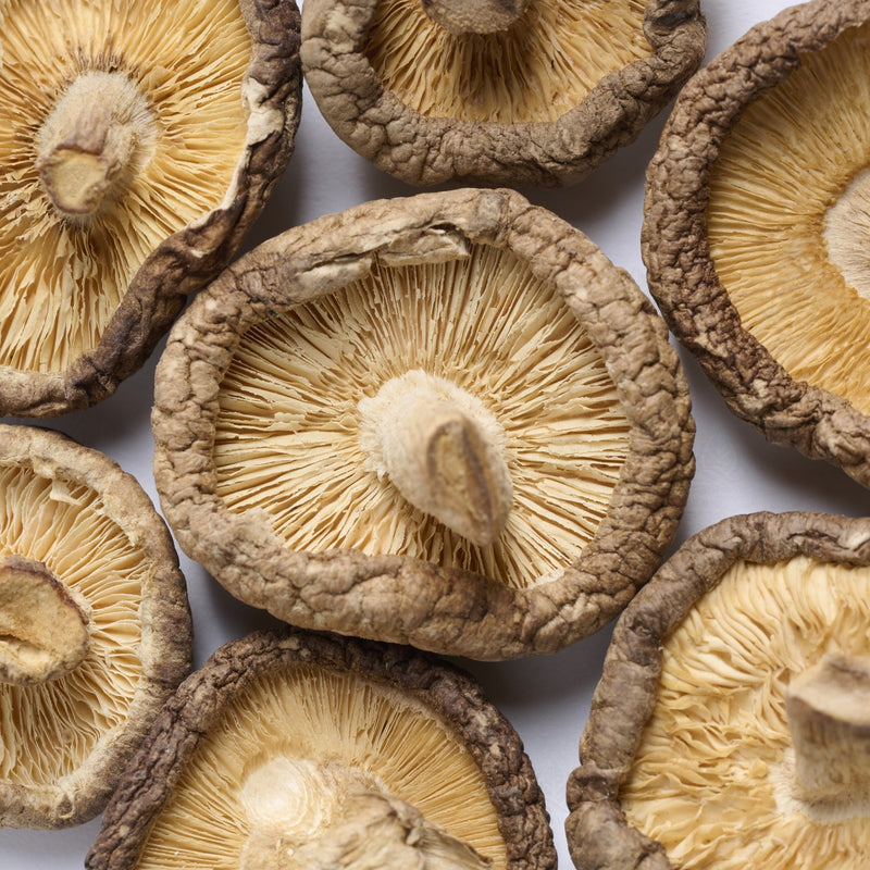 Champignon Shiitake - 香菇 (Xiang Gu)