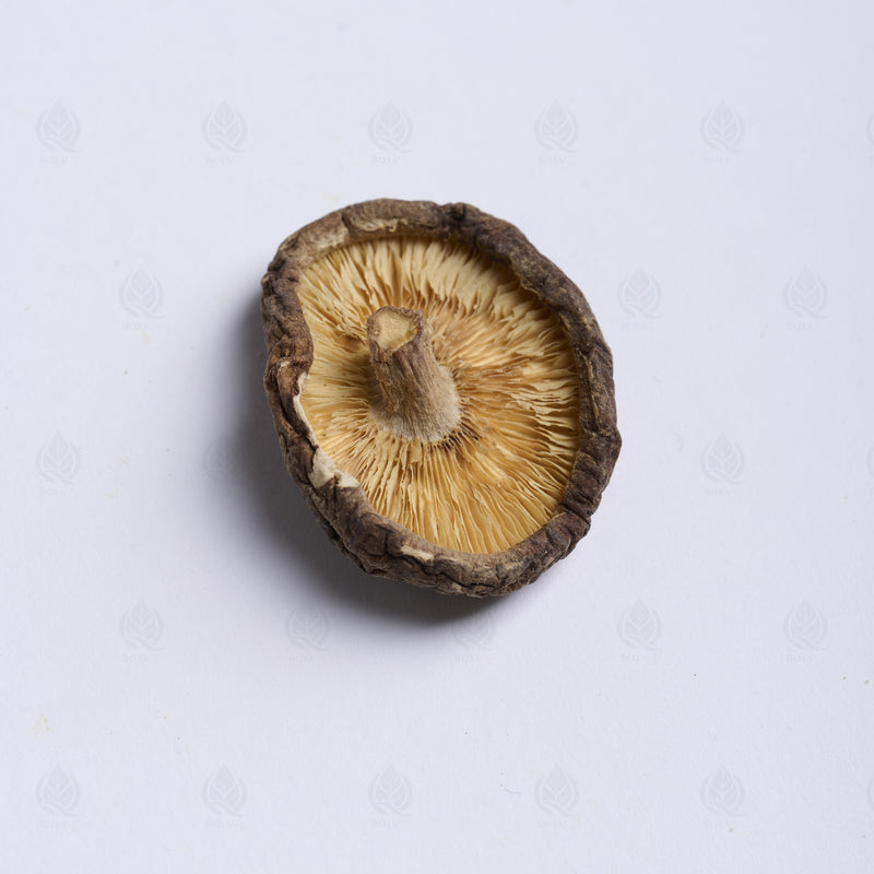 Champignon Shiitake (Xiang Gu) – vue de dessus