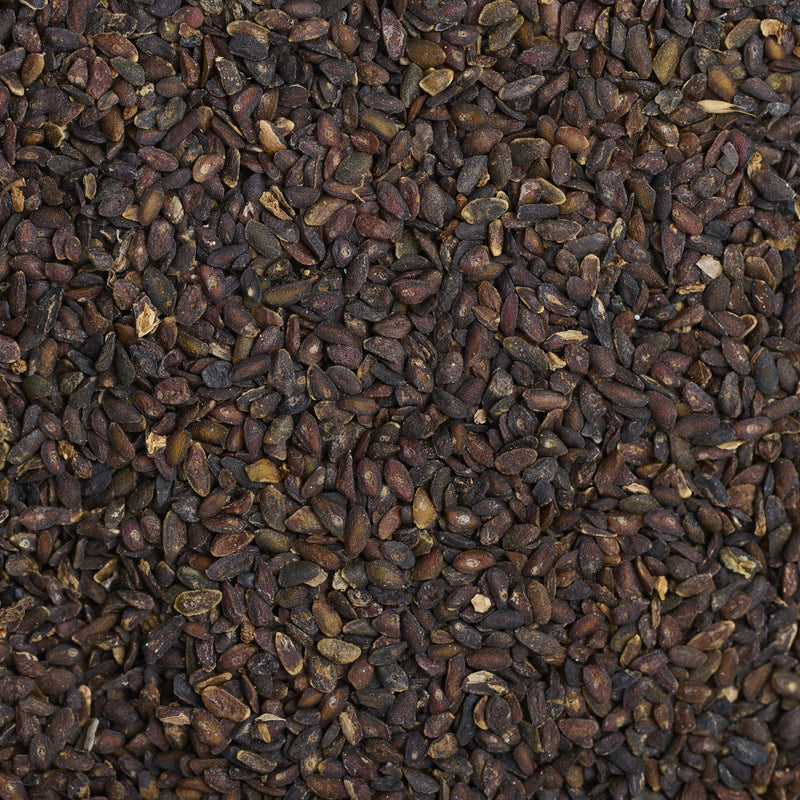 Graines de Plantain (Che Qian Zi) – vue de dessus