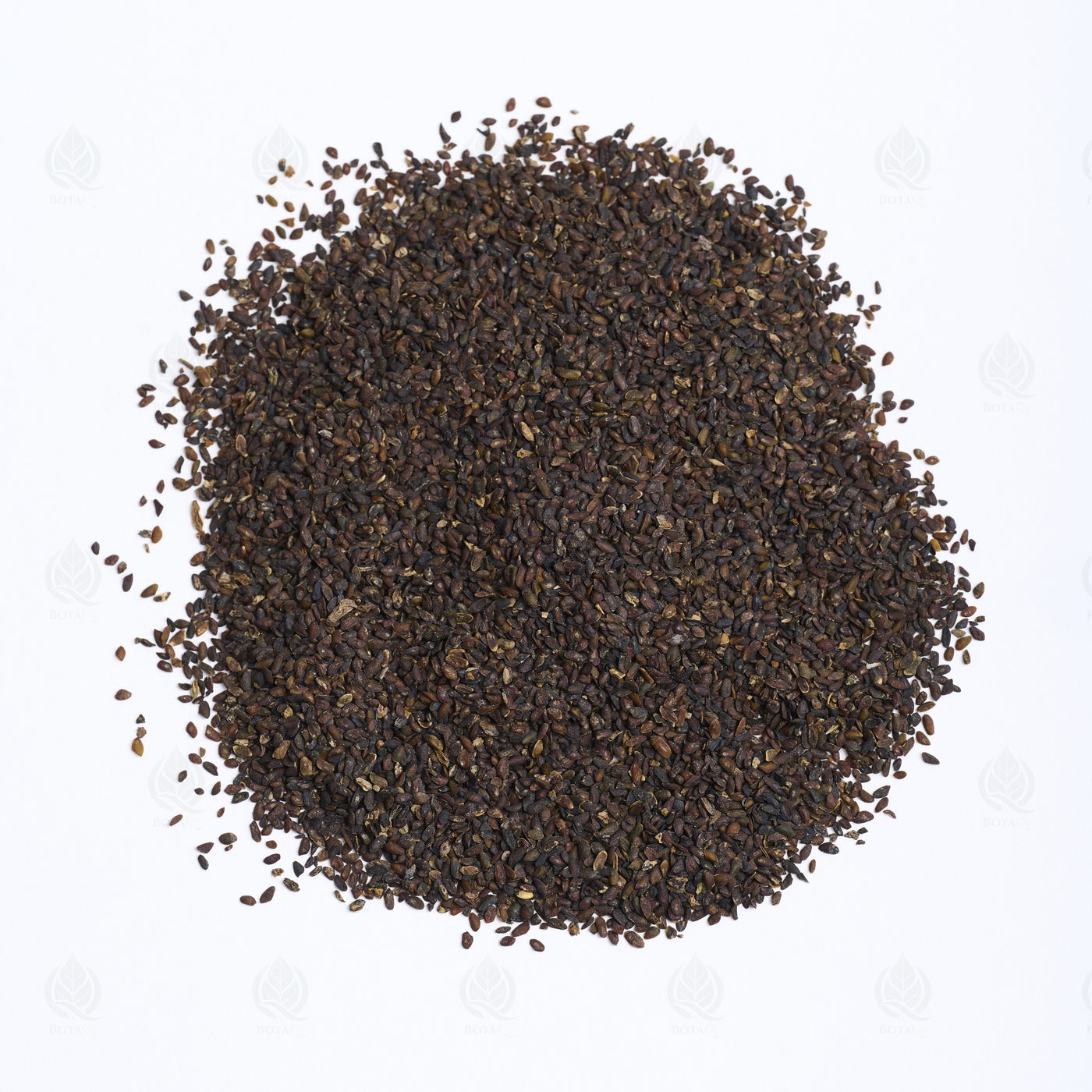 Graines de Plantain (Che Qian Zi) – vue de dessus