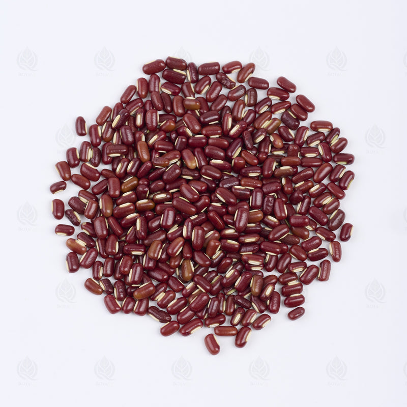 Haricot Azuki rouge (Chi Xiao Dou) – vue de dessus