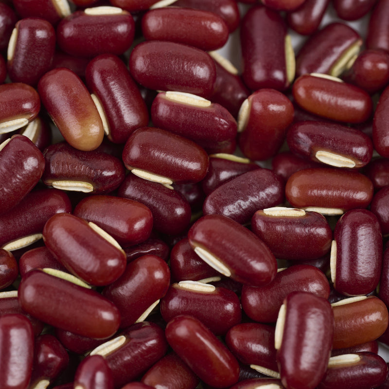 Haricot Azuki rouge (Chi Xiao Dou) – vue de dessus