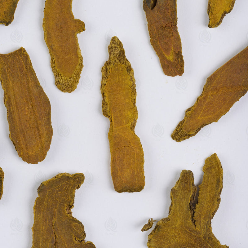 Curcuma - 姜黄 (Jiang Huang)