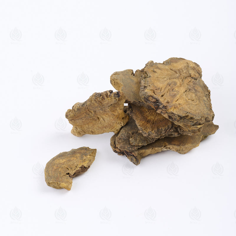 Rhubarbe officinale (Da Huang) – vue de côté