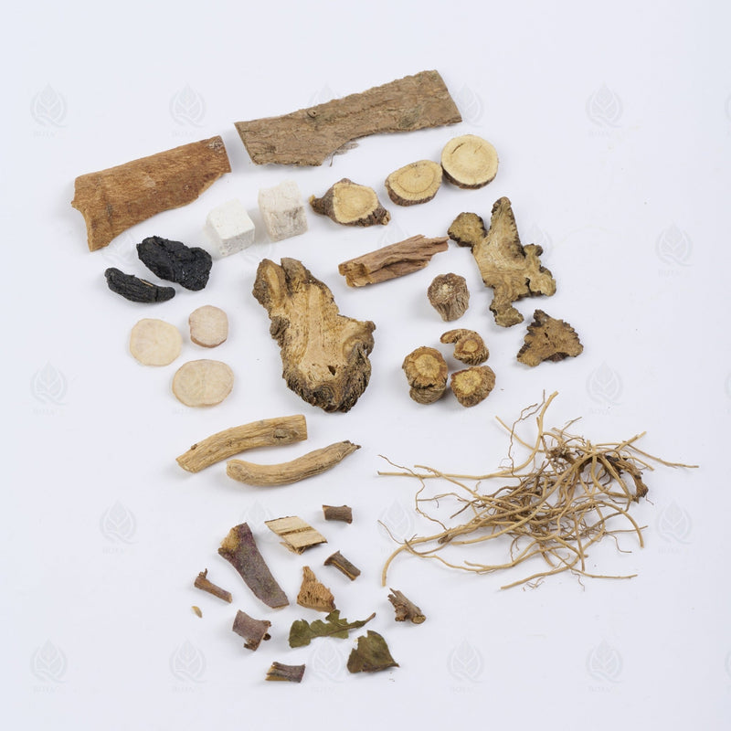 Du Huo Ji Sheng - 独活寄生 (Du Huo Ji Sheng)