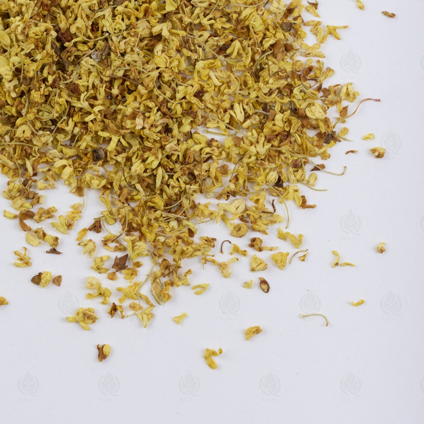 Fleurs d’Osmanthus (Olivier odorant) - 桂花 (Gui Hua)
