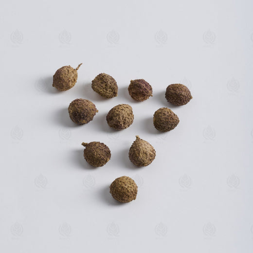 Fruits d’Amome - 砂仁 (Sha Ren)