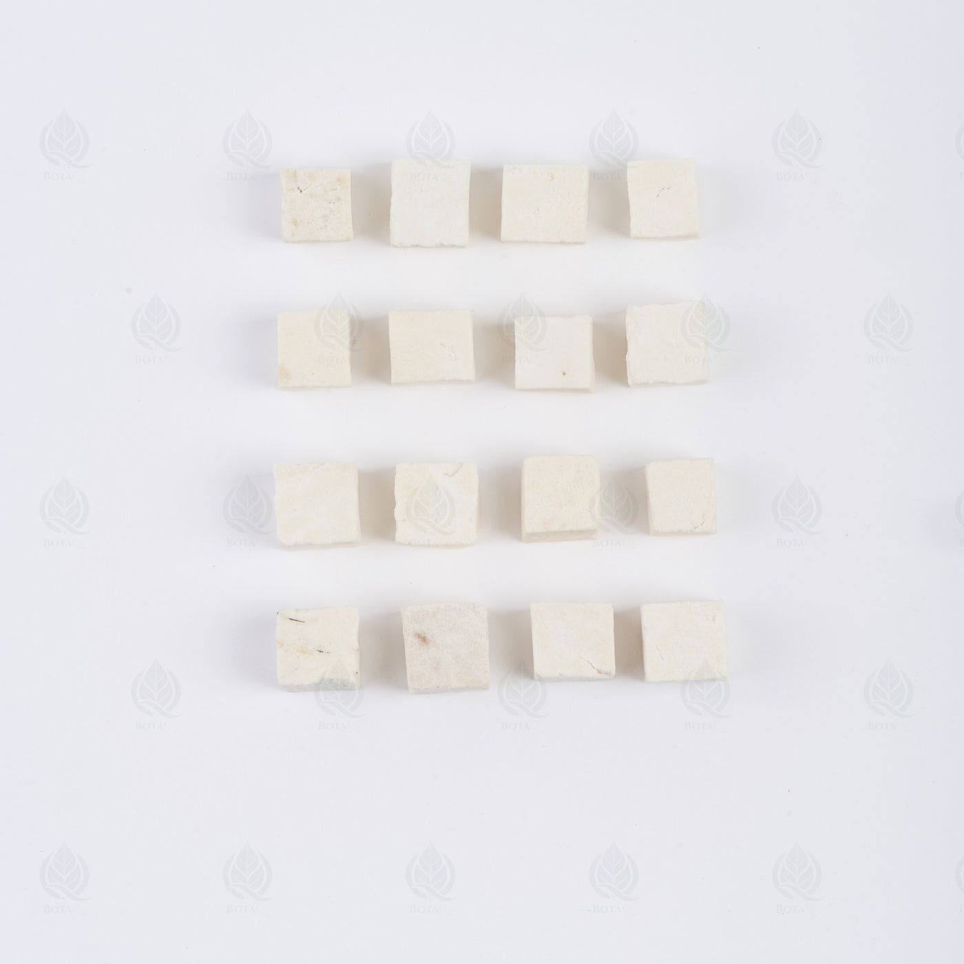 Poria (Sclérote de Pin) (Fu Ling) – vue de dessus
