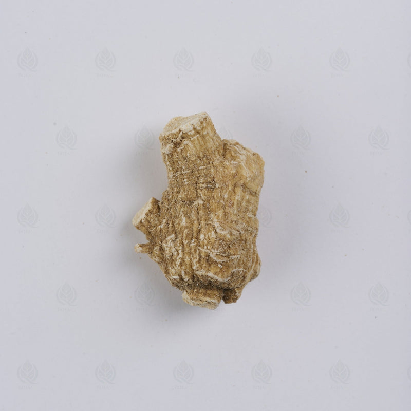 Ginseng Américain (racine entière) - 西洋参 (Xi Yang Shen)