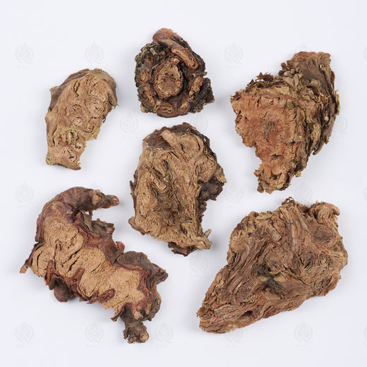 Rhodiola du Tibet (Hong Jing Tian), vue de dessus