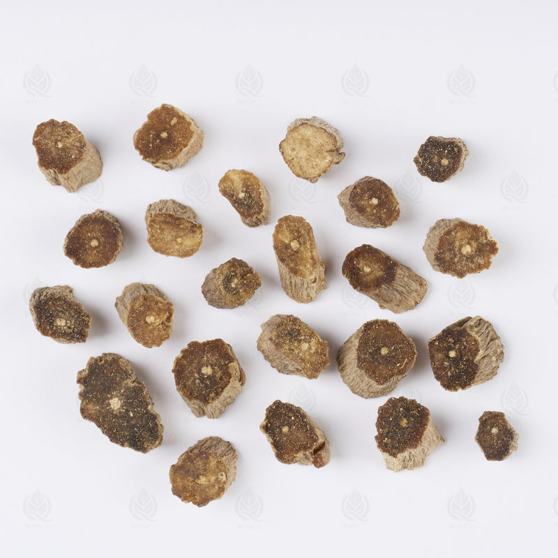 Racine d’Achyranthes (Huai Niu Xi) (Huai Niu Xi) – vue de dessus