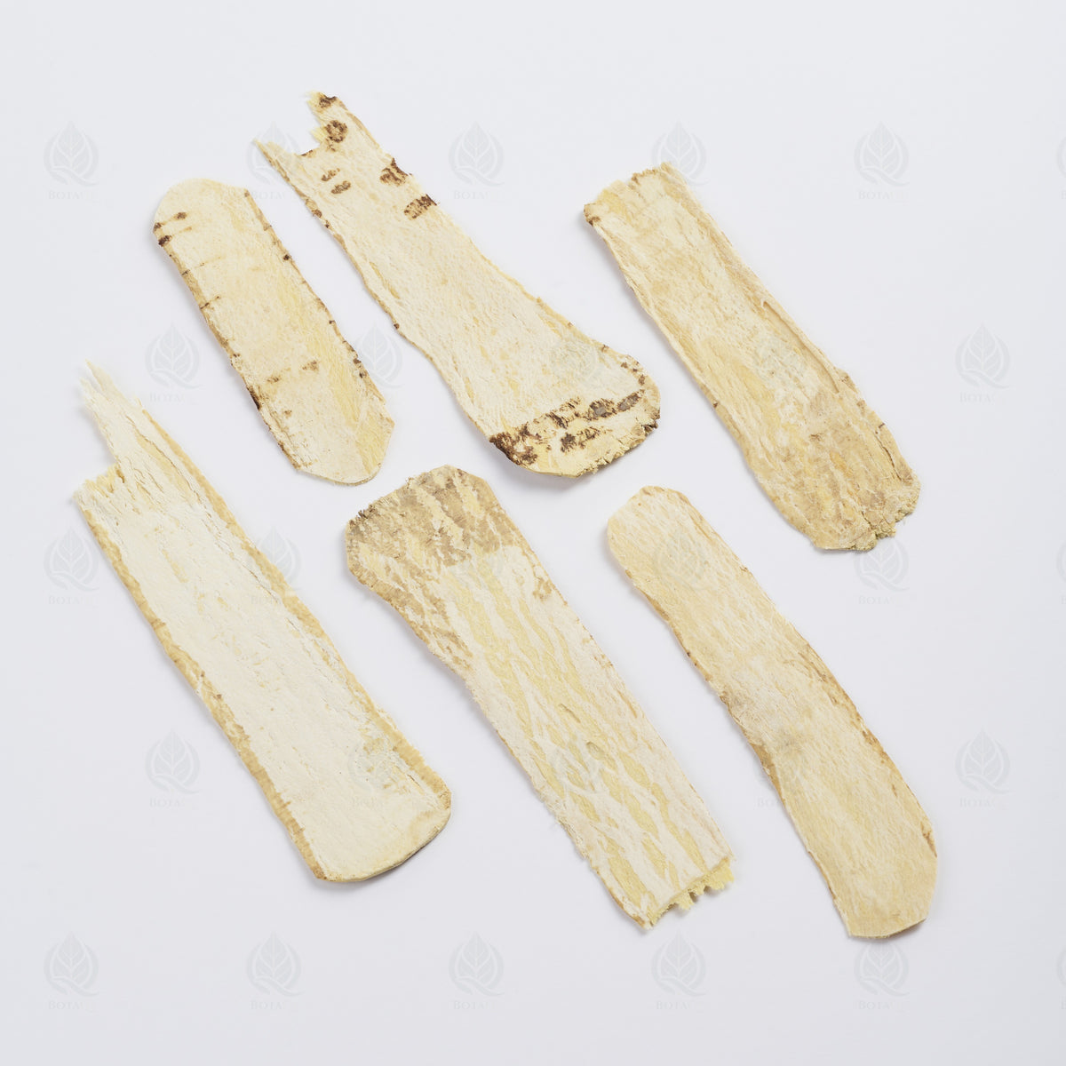 Astragale (Huang Qi), grosses tranches, 200 g, vue de côté