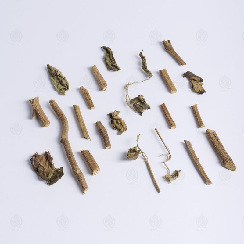 Agastache (Huo Xiang) – vue de côté