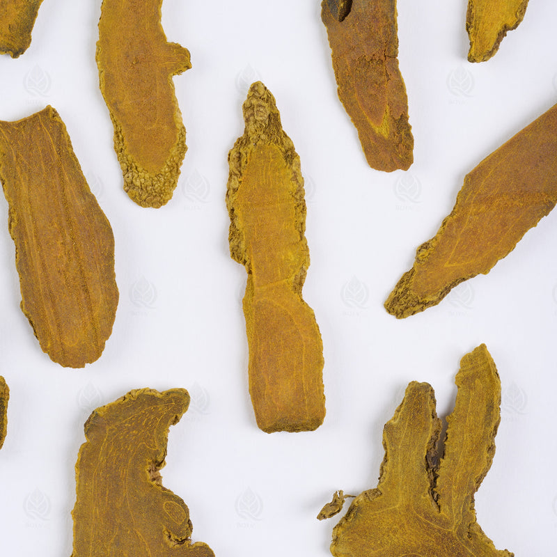 Curcuma (Jiang Huang) – vue de dessus