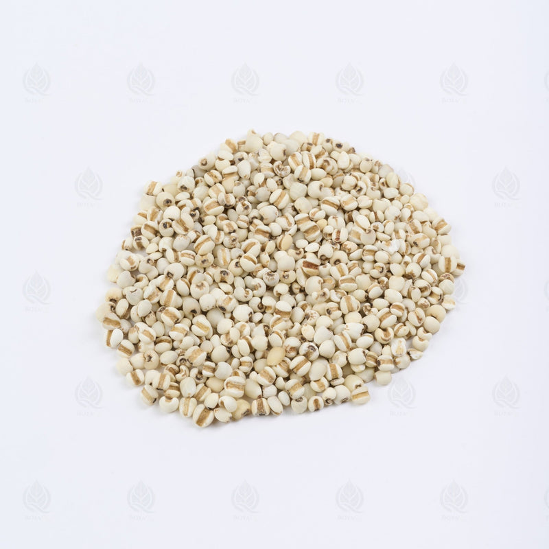Larmes de Job (Coix) - 薏苡仁 (Yi Yi Ren)