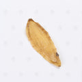 Racine de Gastrodia - 天麻 (Tian Ma)