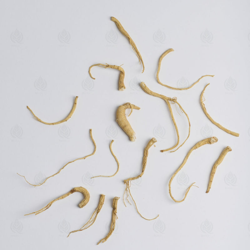 Radicelles de Ginseng - 人参须 (Ren Shen Xu)