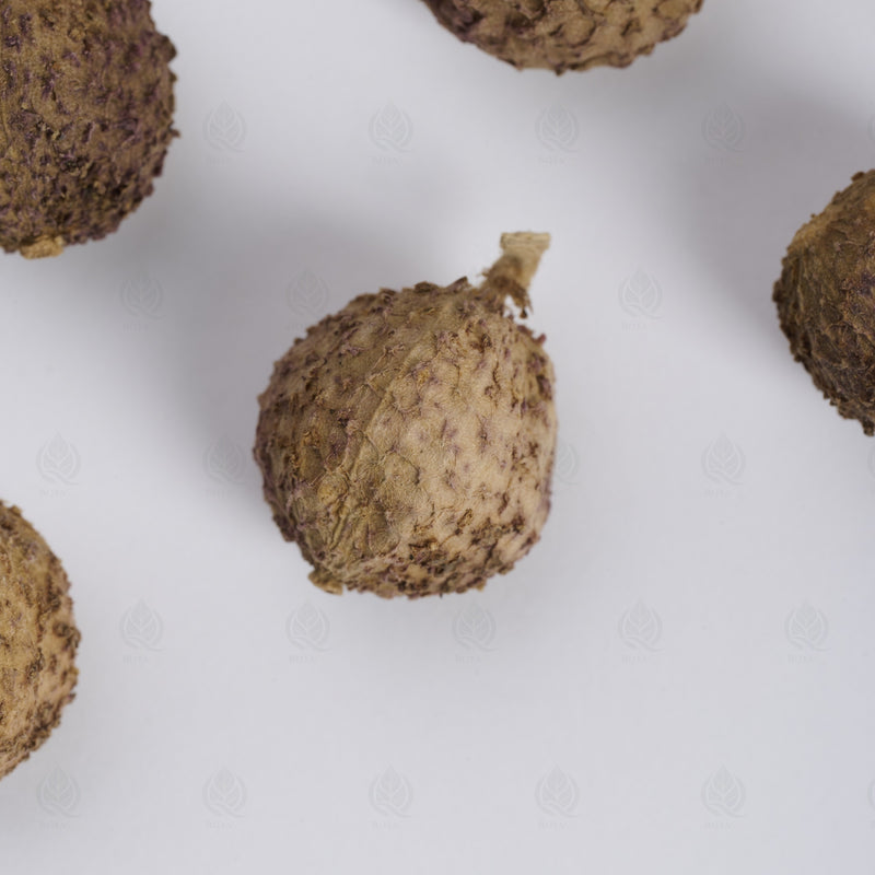 Fruits d’Amome (Sha Ren) – vue de dessus