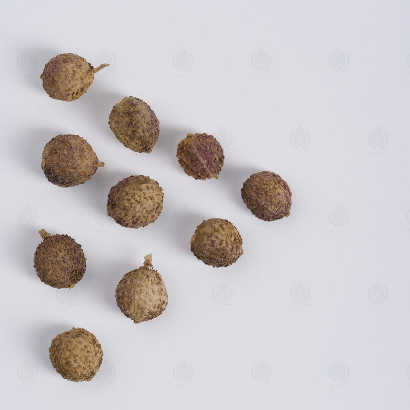 Fruits d’Amome (Sha Ren) – vue de dessus