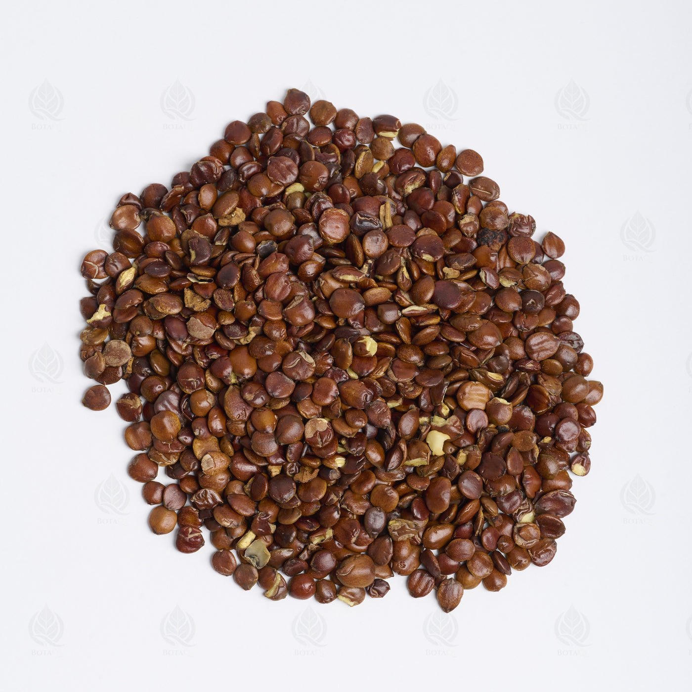 Graines de Jujube sauvage (Suan Zao Ren) – vue de dessus