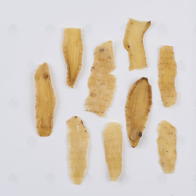 Racine de Gastrodia (Tian Ma) – vue de dessus
