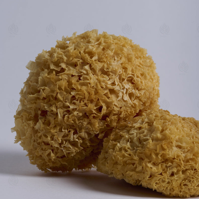 Trémelle blanche (Champignon des neiges) - 银耳 (Yin Er)
