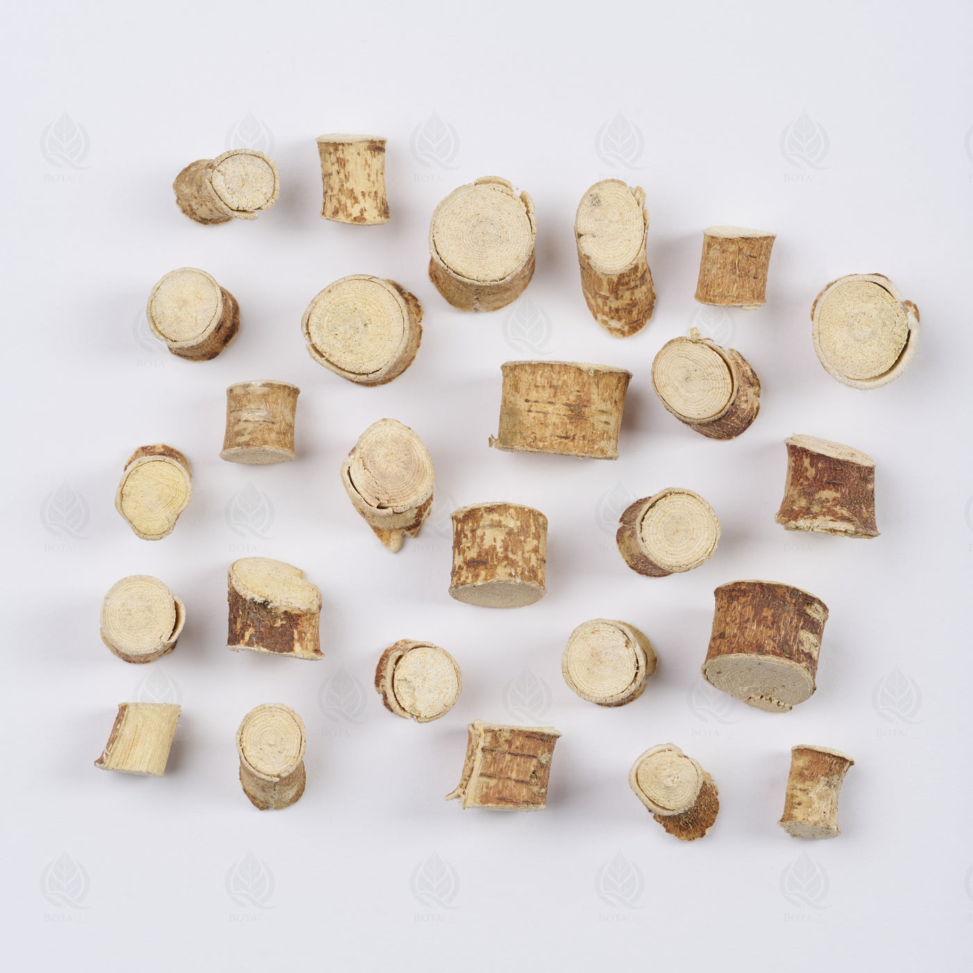 Racines de Ficus (Cinq doigts pelucheux) (Wu Zhi Mao Tao) – vue de dessus
