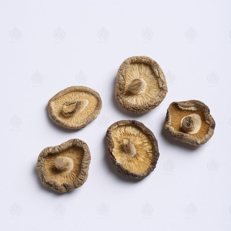 Champignon Shiitake (Xiang Gu) – vue de dessus
