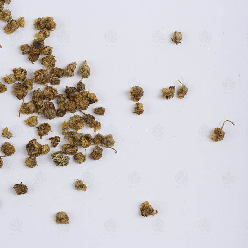 Boutons de Chrysanthème sauvage (Ye Ju Hua) – vue de dessus
