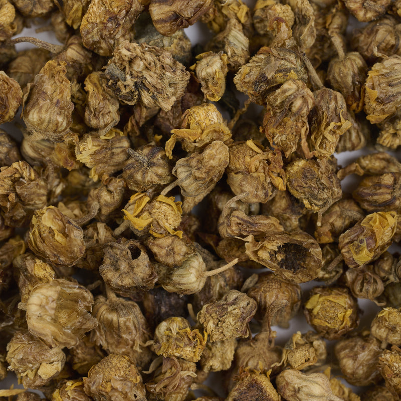 Boutons de Chrysanthème sauvage (Ye Ju Hua) – vue de dessus